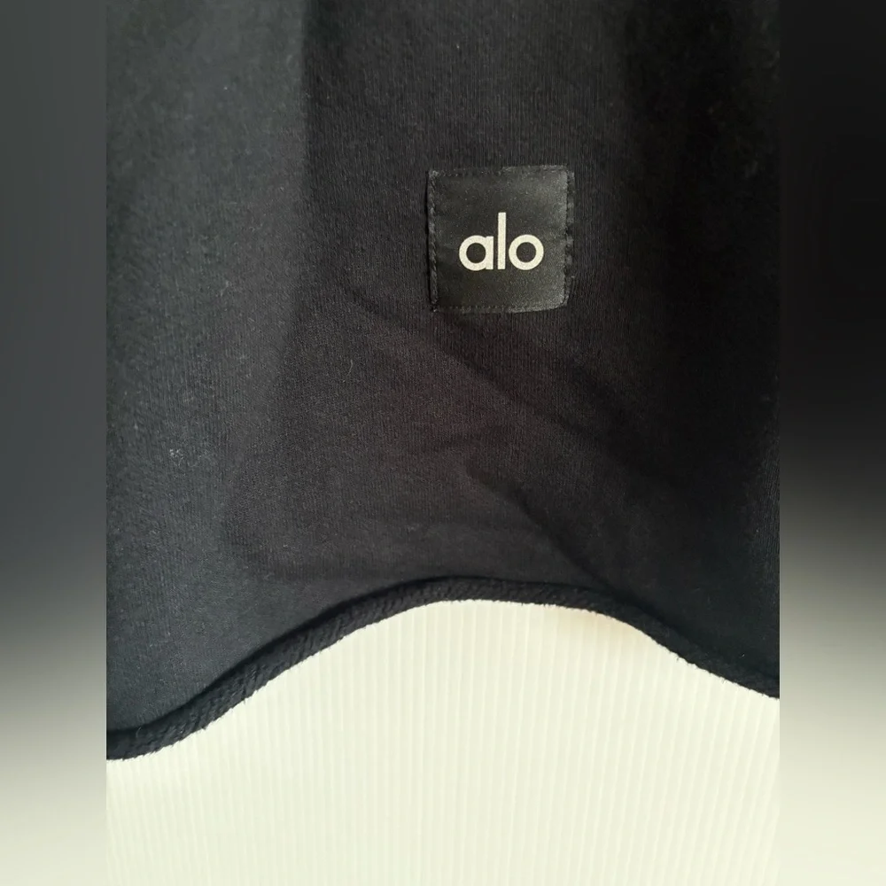 (SOLD) ALO Cropped Short Sleeve Hoodie - Picture 9 of 10